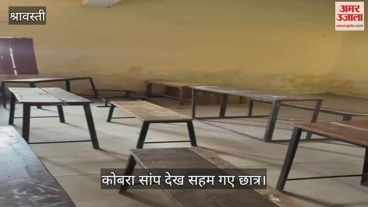 VIDEO: कॉलेज में निकला कोबरा सांप, देखकर सहम गए छात्र
