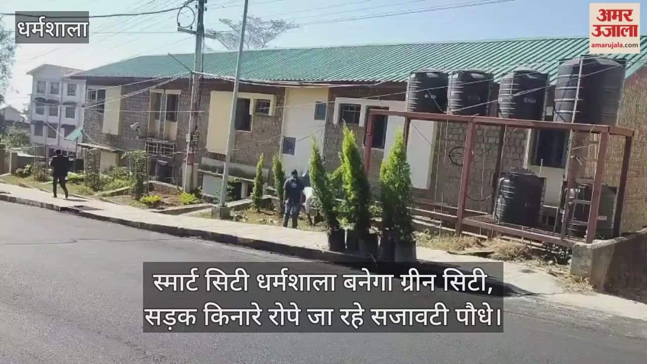 Smart City Dharamshala to become a green city, ornamental plants being planted along the roadside