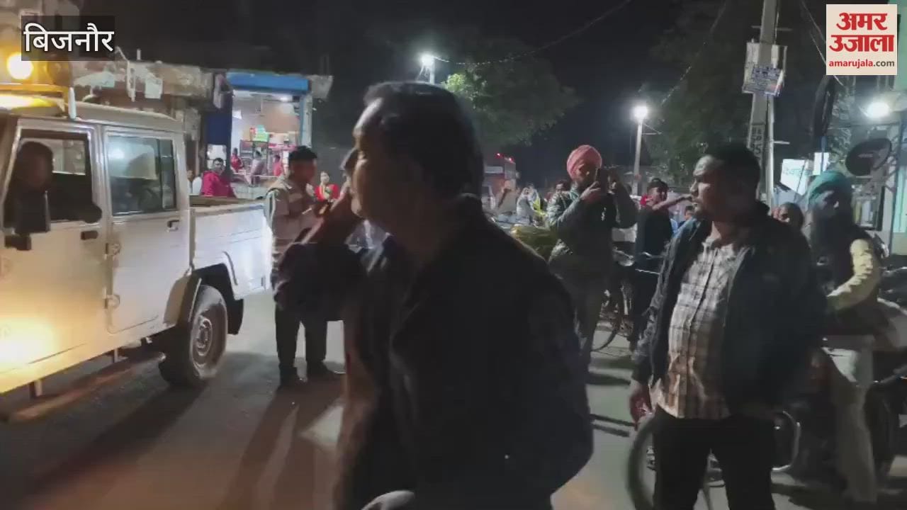 Bijnor: The forest department patrol team chased away the elephant that had come to Jhanda Chowk