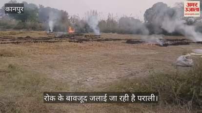 कानपुर: धान कटाई के बाद पराली जला रहे हैं किसान, धुंआ बढ़ा रहा प्रदूषण…लोगों को सांस लेने में दिक्कत