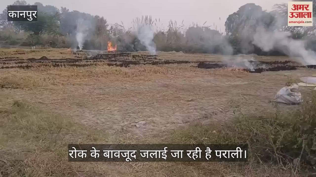 कानपुर: धान कटाई के बाद पराली जला रहे हैं किसान, धुंआ बढ़ा रहा प्रदूषण…लोगों को सांस लेने में दिक्कत