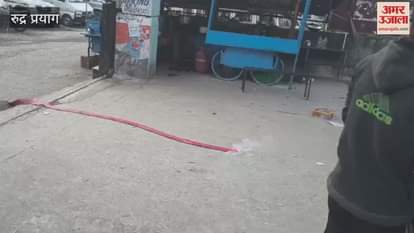 Workers rejoice over appointment of Ganesh Godiyal as Congress state president and Kuldeep Kandhari as district president