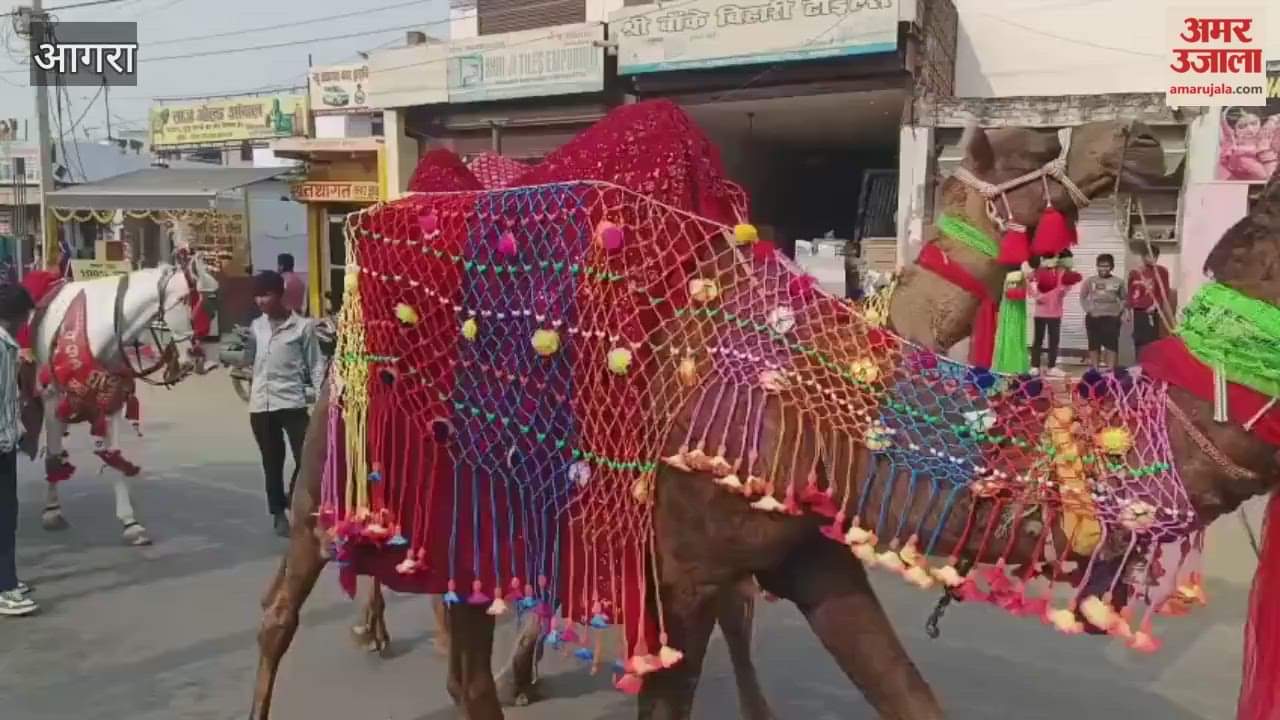 Agra Turns Tricolour as Deepti Sharma’s Grand Roadshow Reaches Bidha Nagar