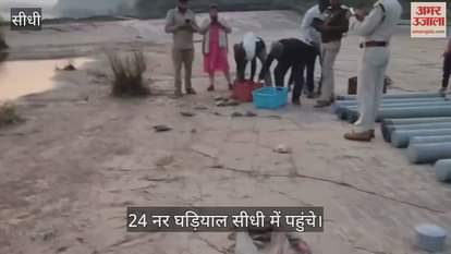 24 male gharials and 25 turtles enhanced the beauty of Sidhi's Son River.