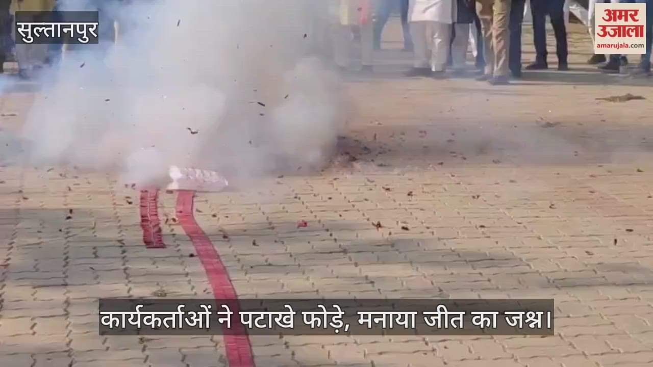 VIDEO:बिहार जीत पर सुल्तानपुर में भाजपा का जश्न, जिलाध्यक्ष ने 'वोट चोरी' के आरोपों पर जवाब दिया