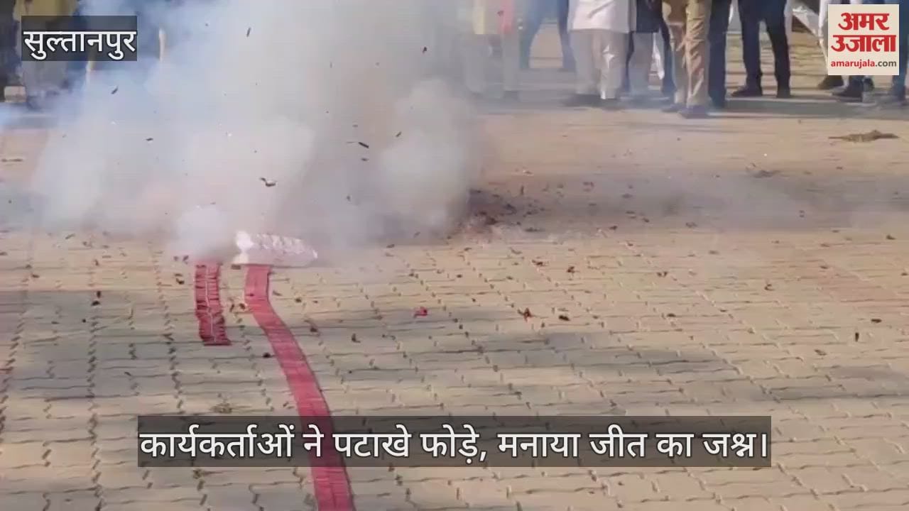 VIDEO:बिहार जीत पर सुल्तानपुर में भाजपा का जश्न, जिलाध्यक्ष ने 'वोट चोरी' के आरोपों पर जवाब दिया