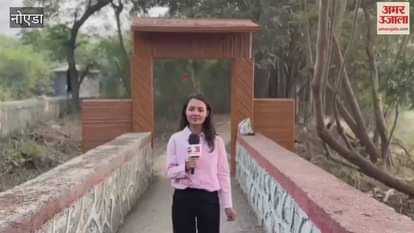 Number of tourists increasing in Okhla Bird Sanctuary