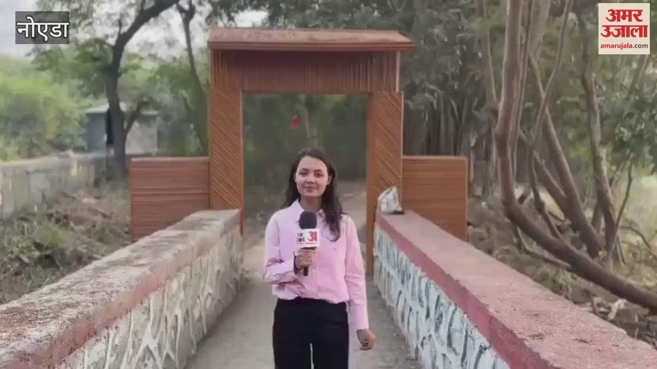 Number of tourists increasing in Okhla Bird Sanctuary