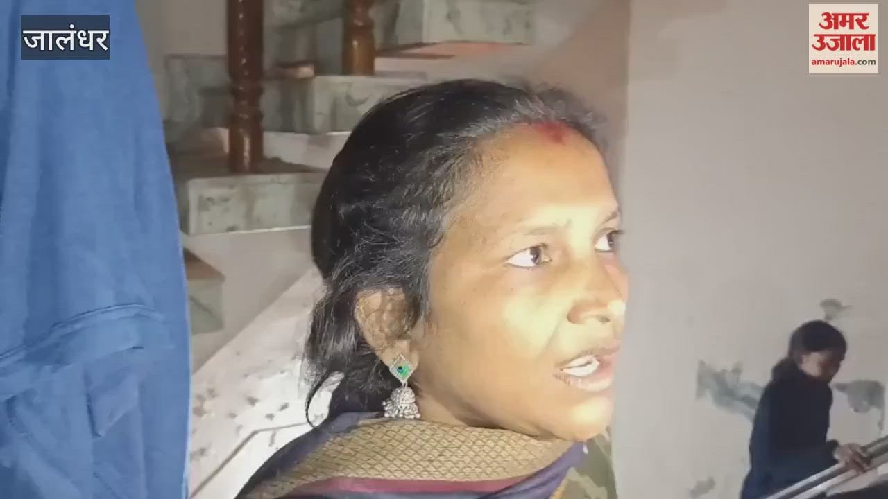 Jalandhar woman commits suicide