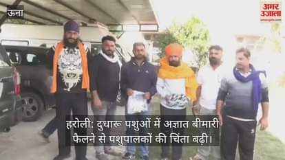 Haroli: Spread of unknown disease among dairy animals increases concern of cattle farmers