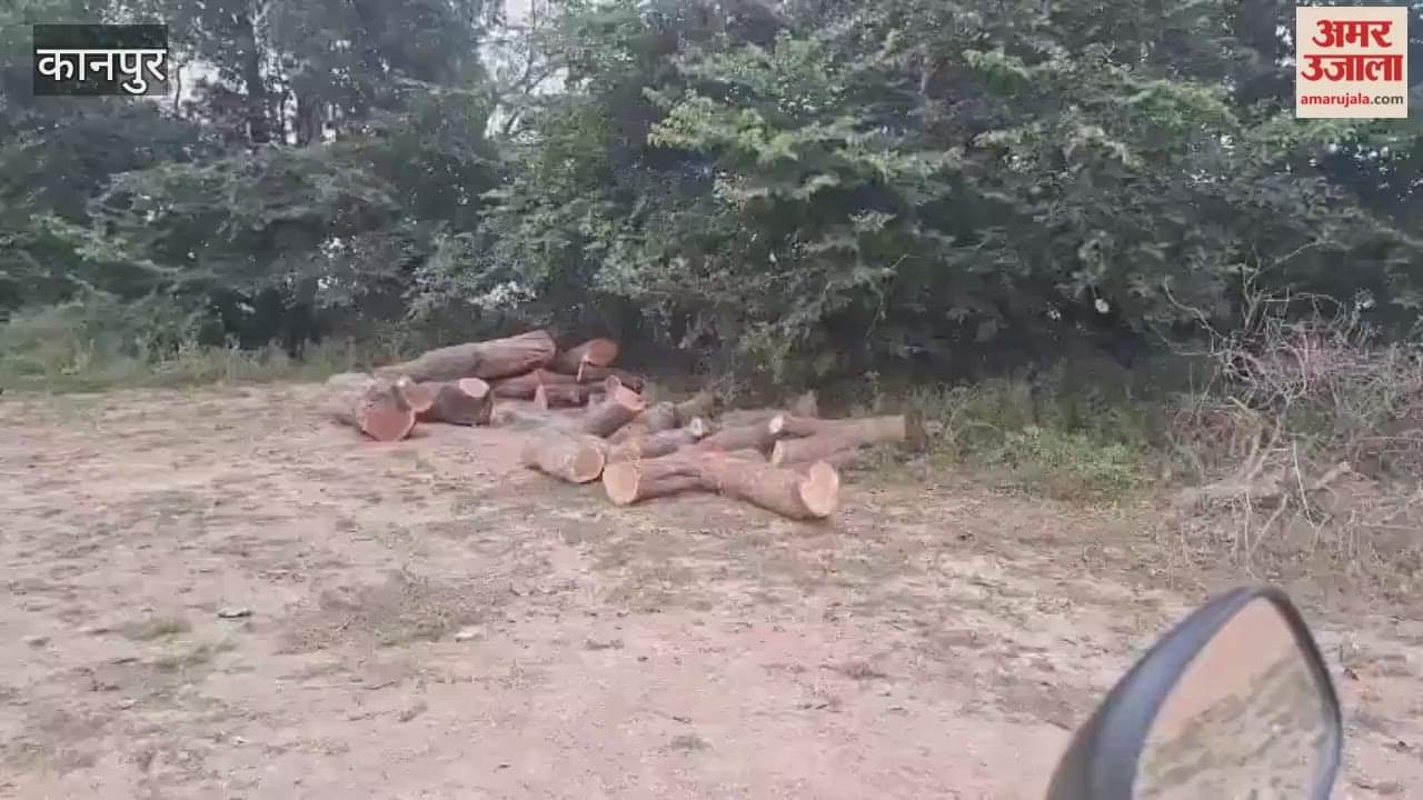 Green, banned trees are being cut in the Saadh area, the forest department is unaware