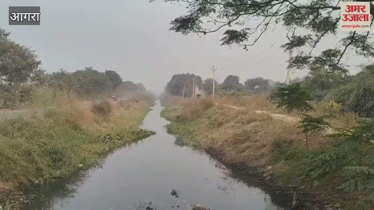 Farmers are angry due to lack of canal cleaning
