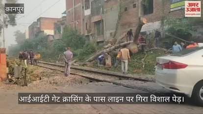 कानपुर में रेलवे ट्रैक पर पेड़ गिरने से मंधना और रावतपुर लाइन पर ट्रेनों का संचालन रुका