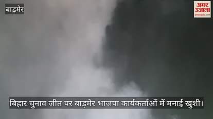 BJP workers celebrate NDA's victory in Bihar elections, distribute sweets and fireworks