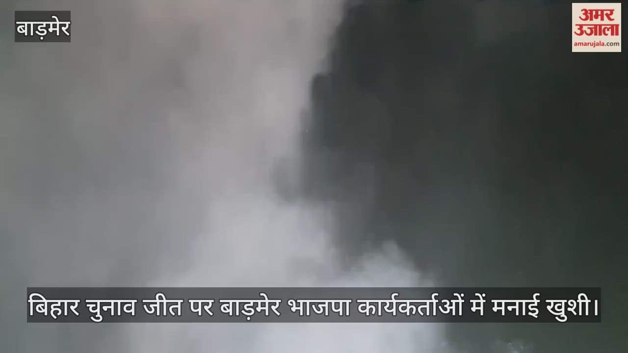 BJP workers celebrate NDA's victory in Bihar elections, distribute sweets and fireworks