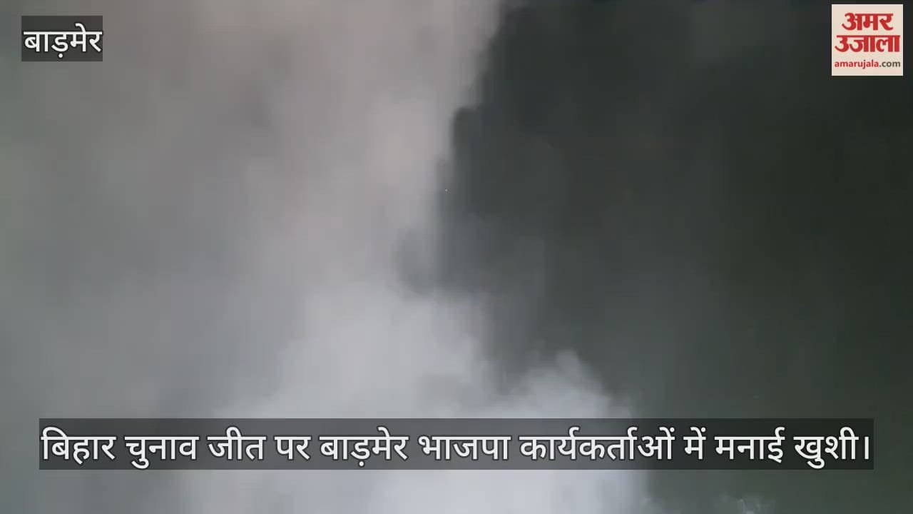 BJP workers celebrate NDA's victory in Bihar elections, distribute sweets and fireworks