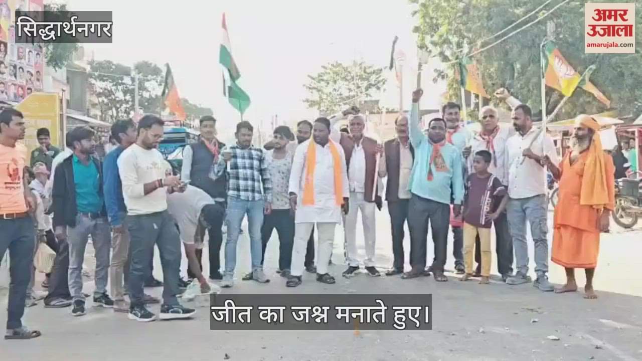 Bihar Elections: BJP workers burst firecrackers to express their happiness in Biscohar town.