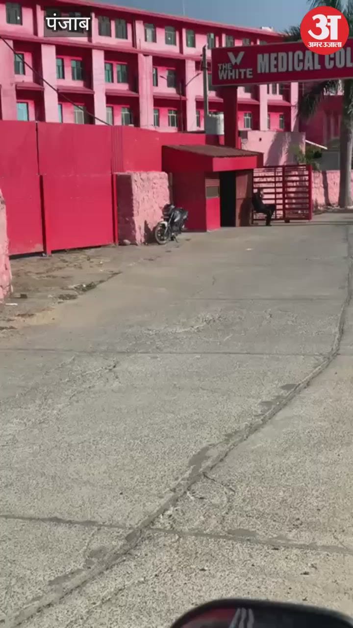 पठानकोट से डाॅक्टर काबू, अल फलाह विश्वविद्यालय में कर चुका है काम – Doctor Arrested From Pathankot Dr. Raees Ahmed Bhatt Has Worked At Al Falah University Mamoon Cantt