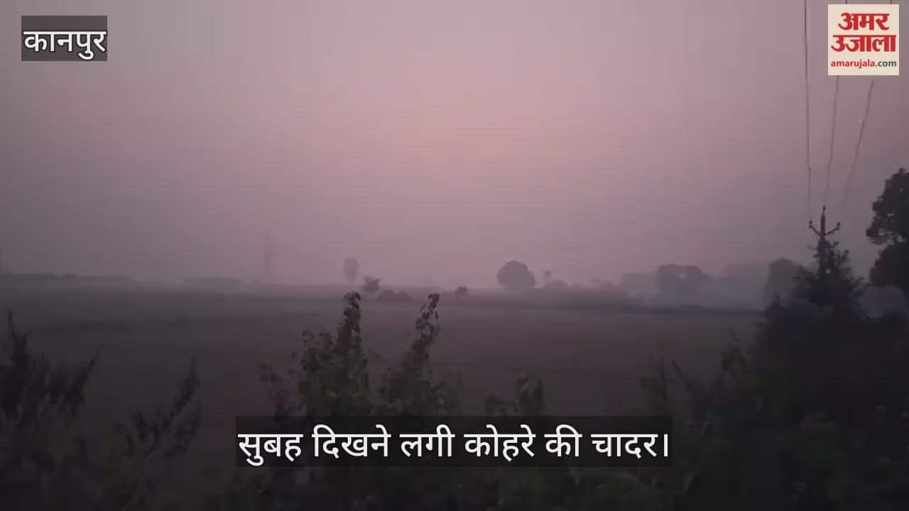 कानपुर: आधा नवंबर बीतते ही छाने लगी कोहरे की चादर, रात में तेजी से गिर रहा है तापमान