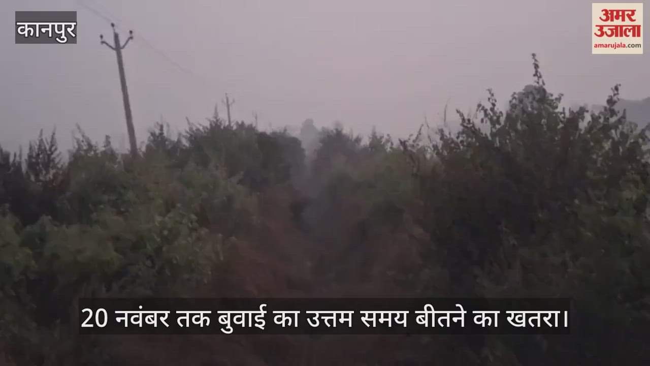 कानपुर: पलेवा सिंचाई के लिए पानी का इंतजार, भीतरगांव की पसेमा माइनर झाड़ियों से भरी