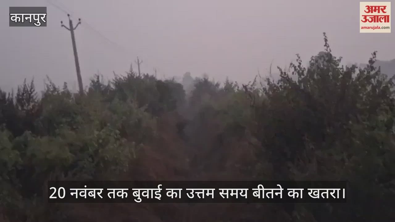 कानपुर: पलेवा सिंचाई के लिए पानी का इंतजार, भीतरगांव की पसेमा माइनर झाड़ियों से भरी