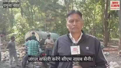 CM Nayab Saini will do jungle safari