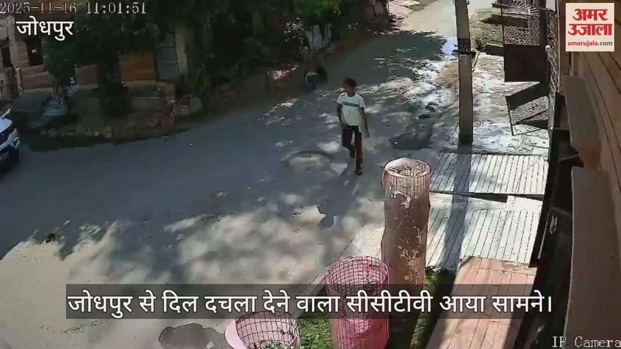 Jodhpur News: Three-year-old boy crushed by speeding car, dies on spot; family refuses post-mortem