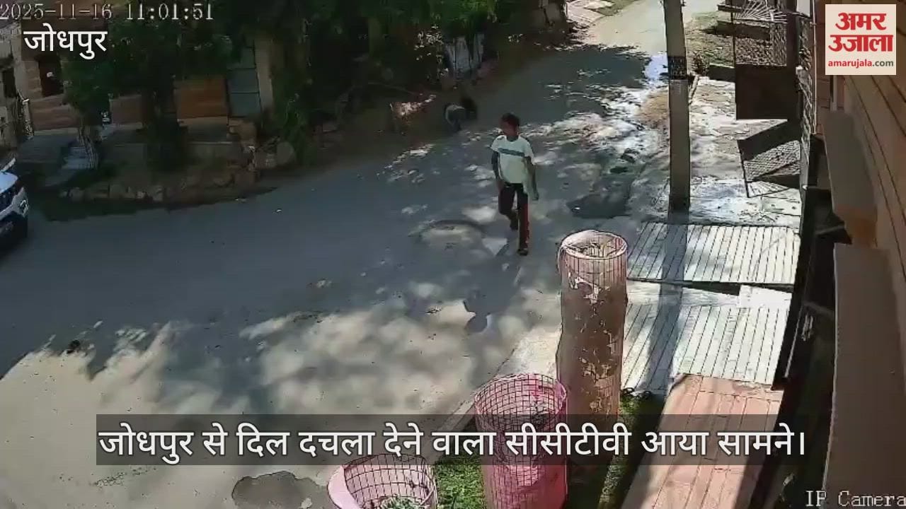Jodhpur News: Three-year-old boy crushed by speeding car, dies on spot; family refuses post-mortem