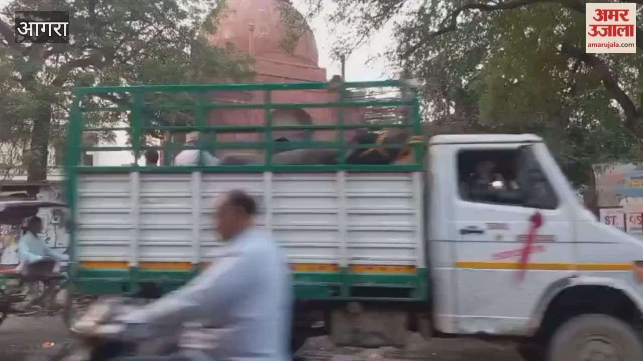 Waterlogging on Balkeshwar Road causing problems for pedestrians