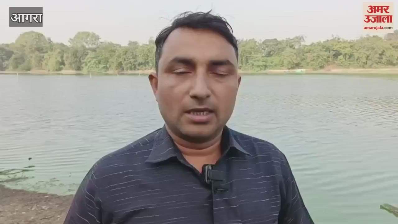 Migratory birds started arriving at Sur Sarovar Bird Sanctuary