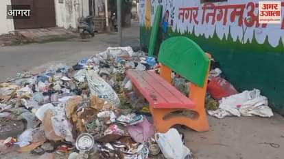 roadside garbage heap