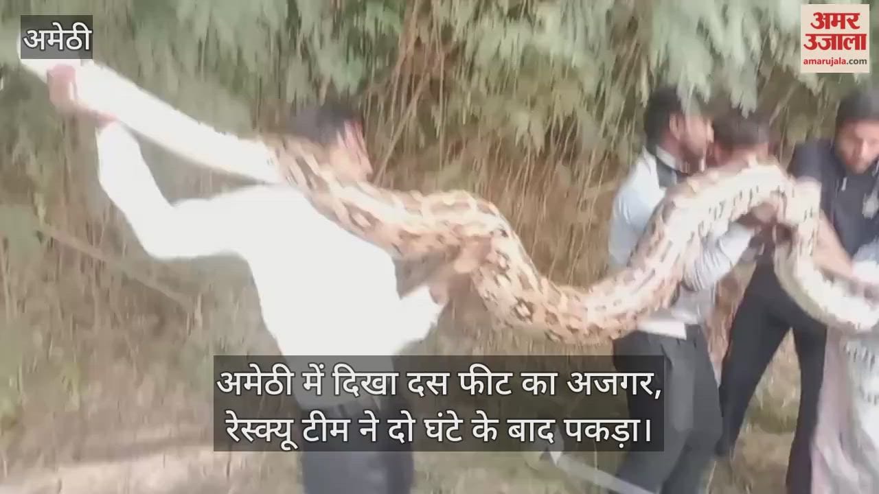 Video : अमेठी में दिखा दस फीट का अजगर, रेस्क्यू टीम ने दो घंटे के बाद पकड़ा