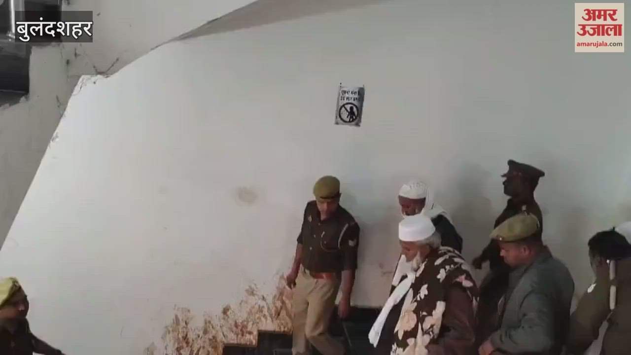 Bulandshahar 25 criminals sentenced to 7 years in jail and heavy fine for cow slaughter gangsterism and animal cruelty