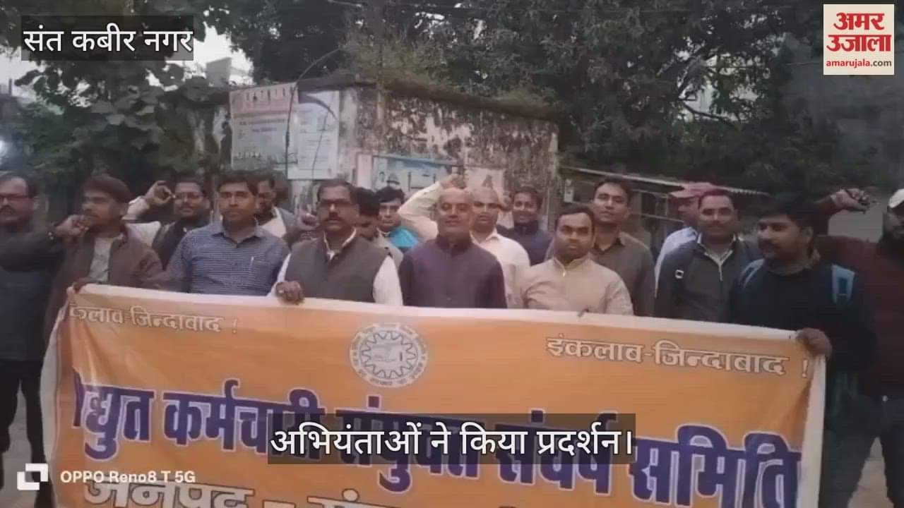 Privatization process should be investigated