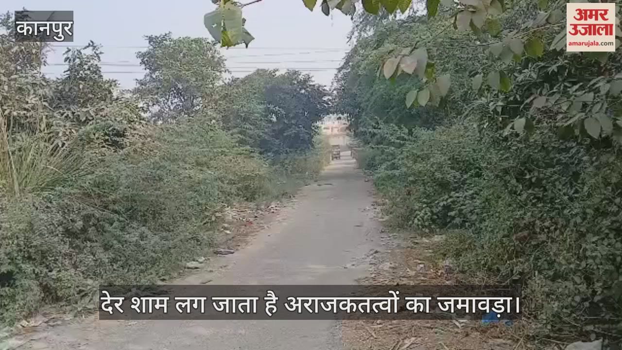कानपुर: रतनपुर कॉलोनी स्थित सड़क के किनारे बन गया जंगल