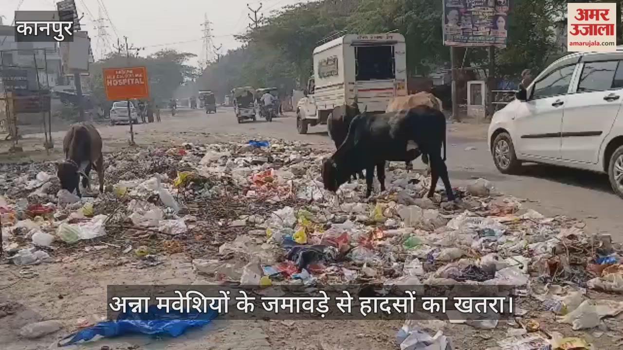 कानपुर: गंगागंज स्थित विद्यार्थी नगर की सड़क पर लगा कूड़े का अंबार
