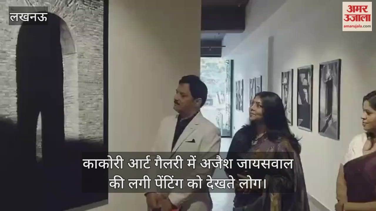 Video : काकोरी आर्ट गैलरी में अजैश जायसवाल की लगी पेंटिंग को देखते लोग