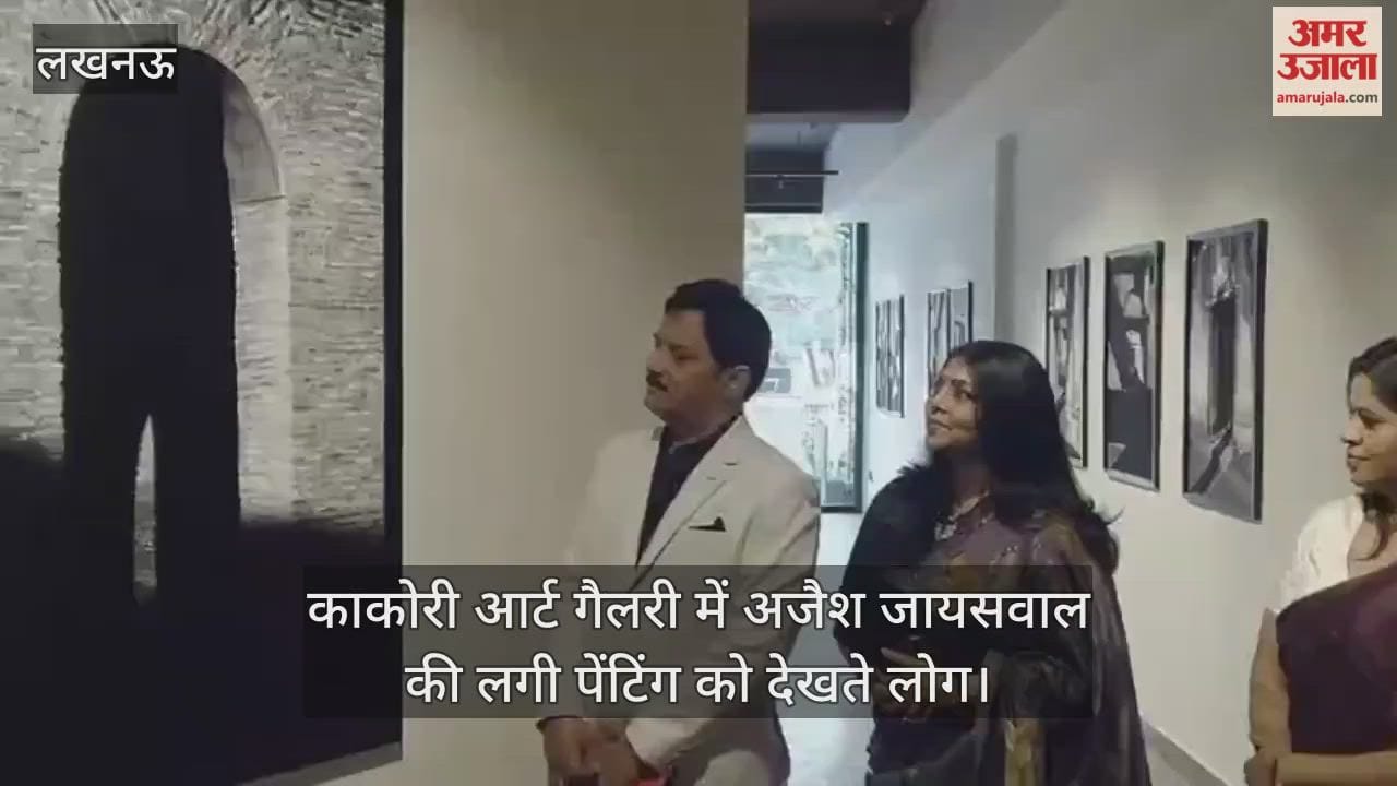 Video : काकोरी आर्ट गैलरी में अजैश जायसवाल की लगी पेंटिंग को देखते लोग