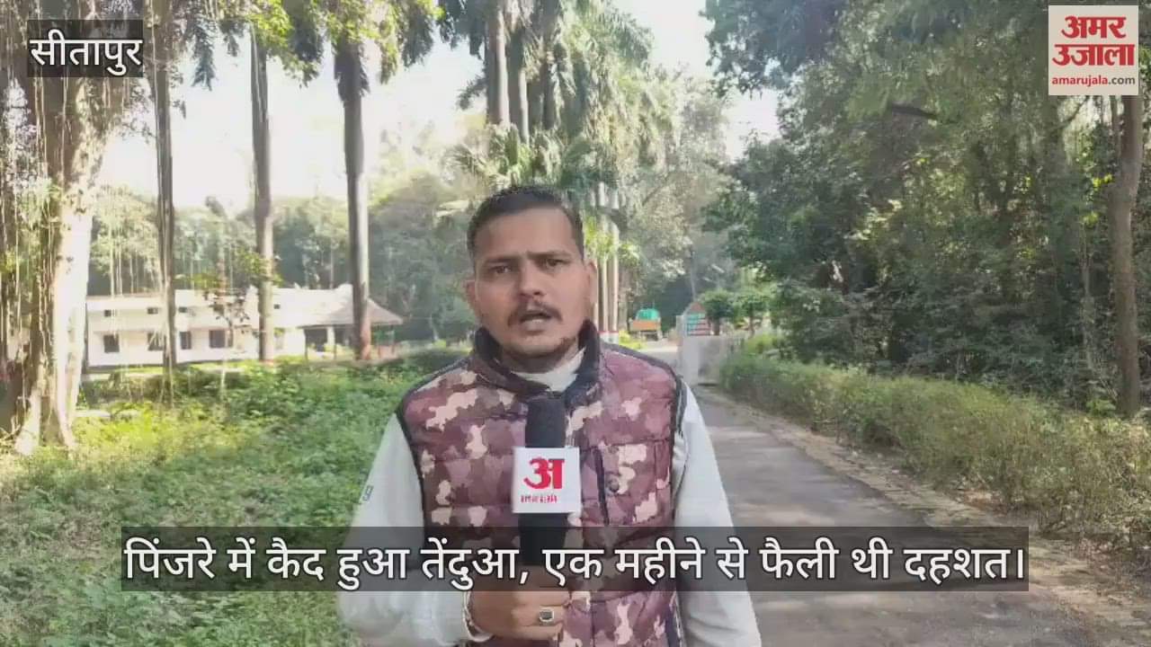 सीतापुर में पिंजरे में कैद हुआ तेंदुआ, एक महीने से फैली थी दहशत