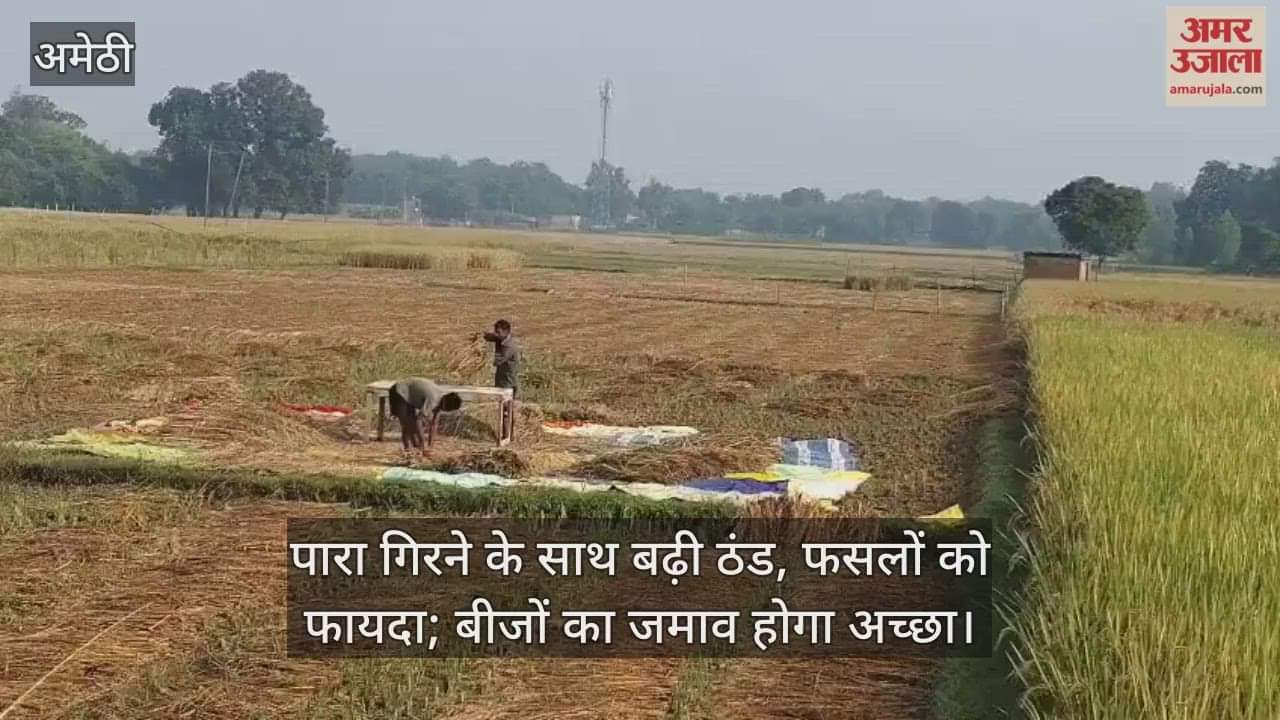 पारा गिरने के साथ बढ़ी ठंड, फसलों को फायदा; बीजों का जमाव होगा अच्छा