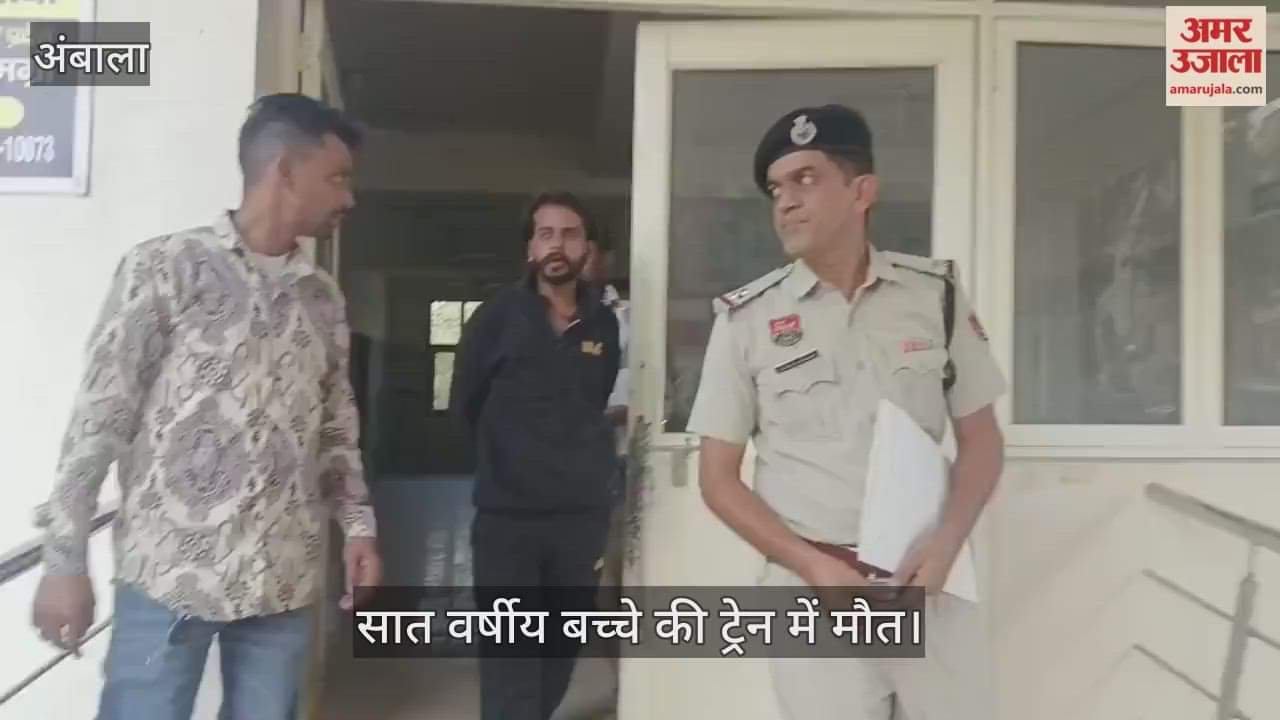 Seven-year-old boy dies in train