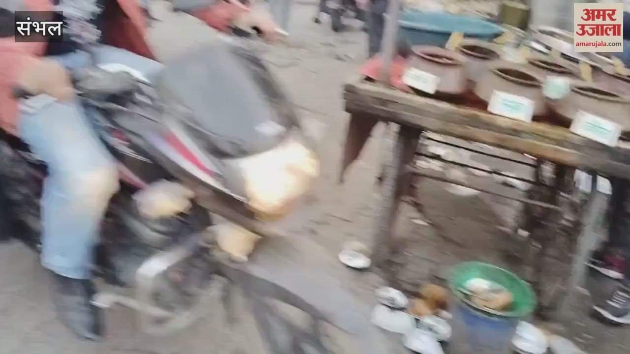 BJP workers elated over NDA forming government in Bihar, celebrate