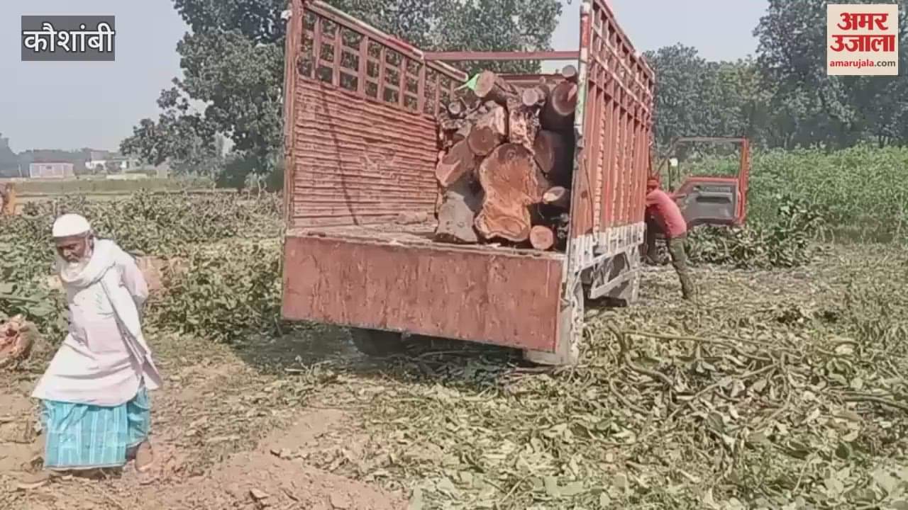 Permission was granted for two trees and three were cut down; the Forest Department filed a case.