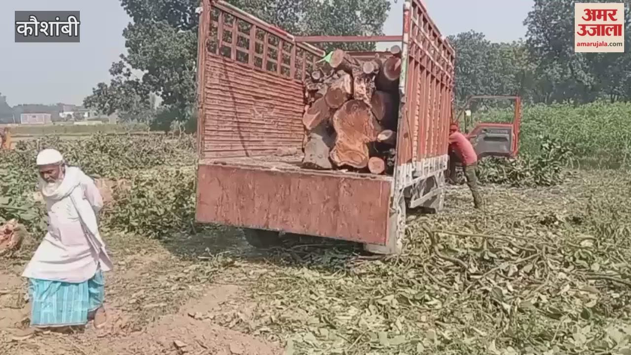 Permission was granted for two trees and three were cut down; the Forest Department filed a case.