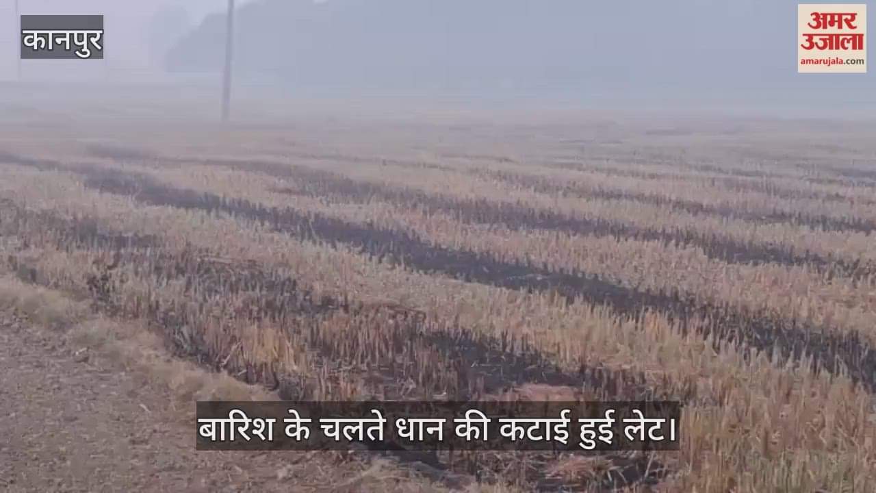 कानपुर: भीतरगांव में गेहूं बुवाई लेट देखकर किसान धड़ल्ले से जला रहे धान की पराली