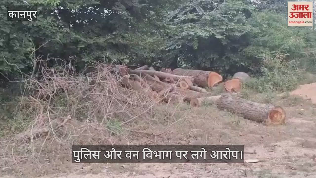 कानपुर: भीतरगांव में लकड़ी माफिया ने उजाड़ा हरा-भरा बाग, कटे पड़े हैं आम, महुआ और नीम के प्रतिबंधित पेड़