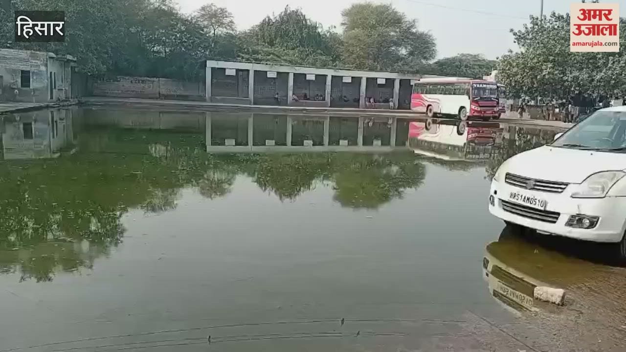 Hisar's local bus stand has been filled with sewer water for the past 15 days, causing inconvenience to commuters