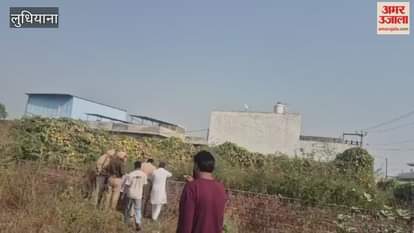 Body of a youth found near garbage dump in Jagraon