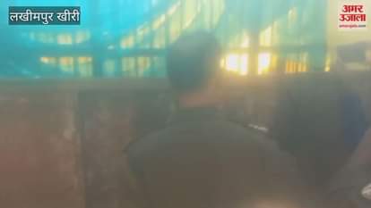 forest department team tranquilized and captured the tiger in Lakhimpur kheri