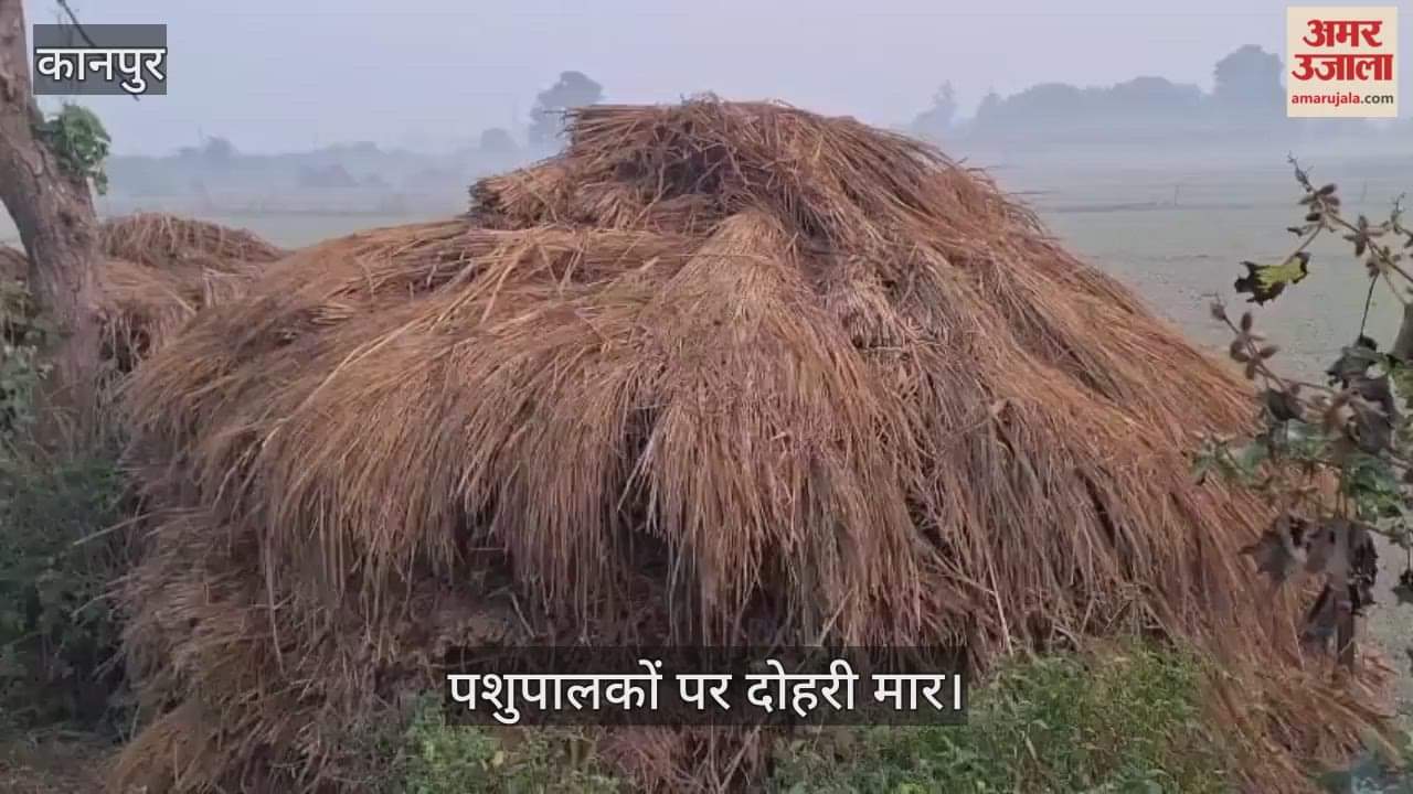 कानपुर के भीतरगांव इलाके में धान की पराली और भूसे के दाम बढ़े